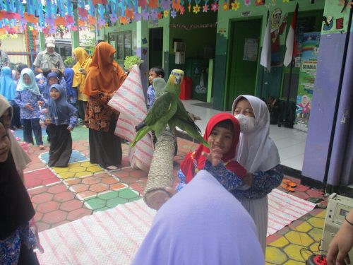 Kelas Edukasi - Gembiraloka Zoo (1)