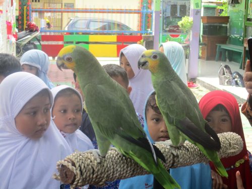 Kelas Edukasi - Gembiraloka Zoo (11)