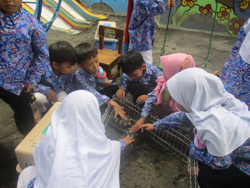 Kelas Edukasi - Gembiraloka Zoo (13)