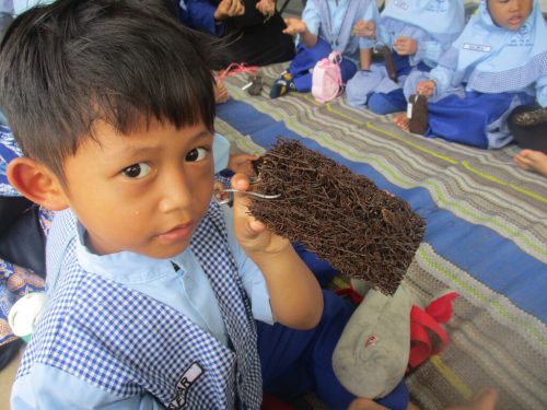 Kunjungan Anggrek Savanna TK A (10)