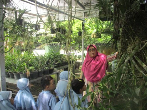Kunjungan Anggrek Savanna TK A (13)