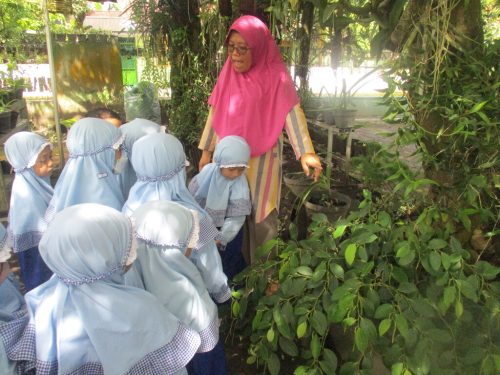 Kunjungan Anggrek Savanna TK A (14)