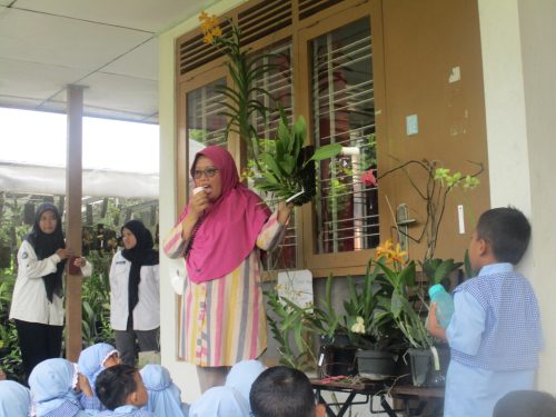 Kunjungan Anggrek Savanna TK A (6)