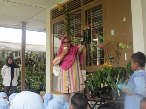 Kunjungan Anggrek Savanna TK A (7)