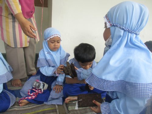 Kunjungan Anggrek Savanna TK A (9)