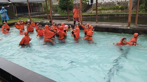 IMG 20251126 101236-1