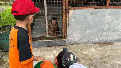 Outing Mini Zoo Jogja Exotarium